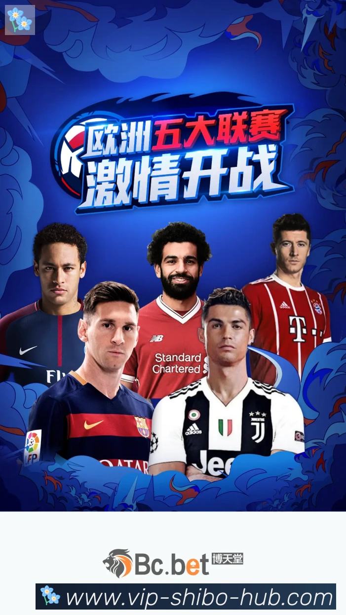 平台使命图